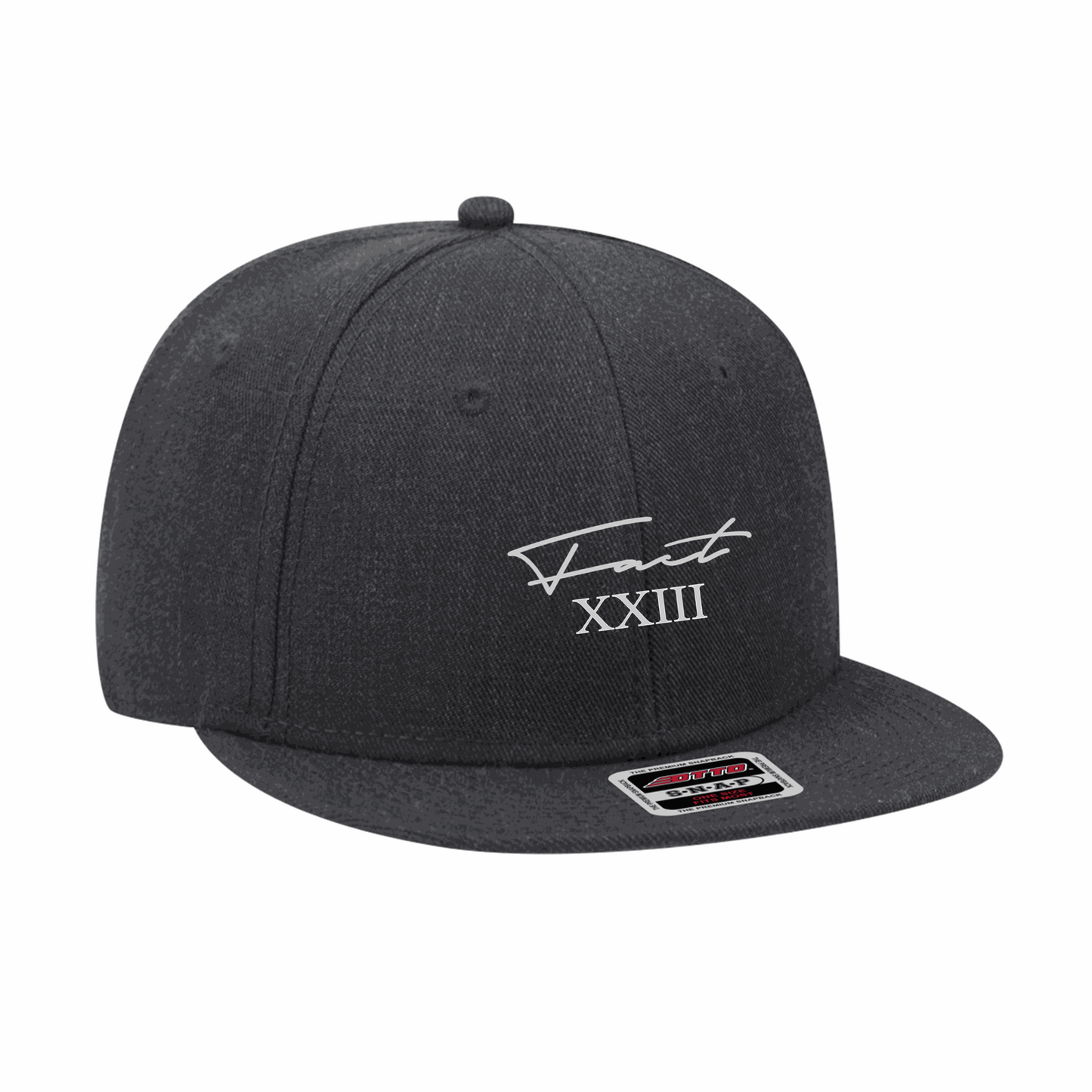 FACT XXⅢ スナップバックキャップ (DEADSTOCK)